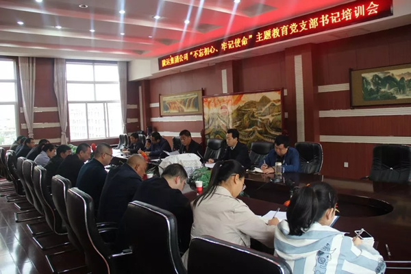 隴運(yùn)集團(tuán)公司召開“不忘初心、牢記使命”主題教育黨支部書記培訓(xùn)會