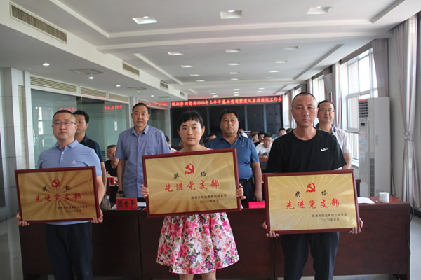 隴運集團(tuán)公司黨委召開2020年上半年基層黨建暨黨風(fēng)廉政建設(shè)工作會議